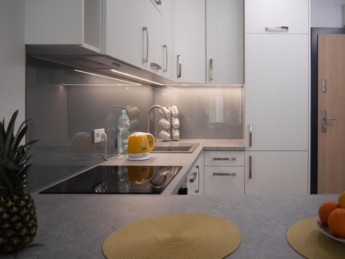 Przytulny apartament z ogródkiem Cracovia Exterior foto